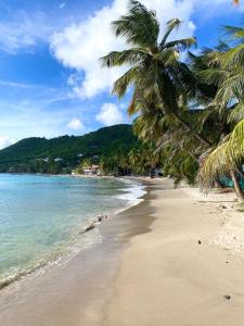 Una playa con dos palmeras y el océano. en Garden Retreat Near Pitons, Relax Explore Nature, en Caféière