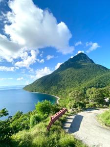 un banco en la ladera de una montaña junto a un lago en Garden Retreat Near Pitons, Relax Explore Nature, en Caféière