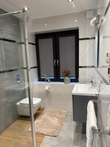 een badkamer met een douche, een toilet en een wastafel bij Apartment GreenHills 2 in Wałbrzych +10 foto's