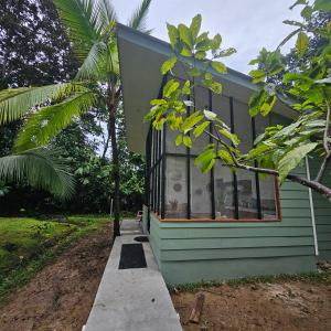 a green house with windows on the side of it at La Rana De Cahuita in Cahuita