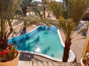 an overhead view of a swimming pool with a palm tree at Paloma Wooden House !!! in Siwa