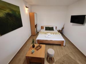 a small room with a bed and a tv at Vinogradi Zmajevački in Mladenovac +60 photos
