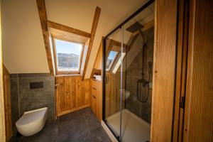 un bagno con wc e doccia in vetro di WHITE BROOK Luxury Chalets a Witów Altre 89 foto