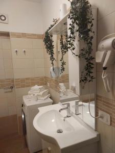 a bathroom with a sink and a mirror at Girasole in Alessandria