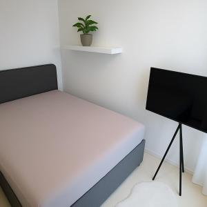 Postel nebo postele na pokoji v ubytování Art Nouveau apartment with garden in Pisek + 42 fotografií