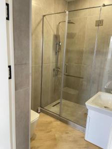 a bathroom with a shower with a toilet and a sink at Miassine Boutique Hotel in Gyumri