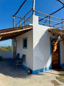 El NaranjoSecret Garden Cottage的坐在白色建筑前的猫 更多23张照片