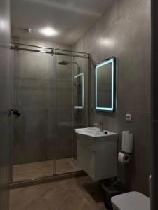 久姆里Miassine Boutique Hotel的带淋浴、水槽和马桶的浴室