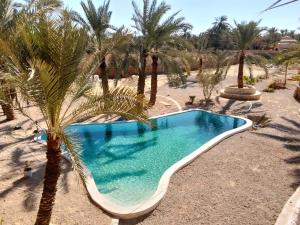 Swimmingpoolen hos eller tæt på Paloma Camp