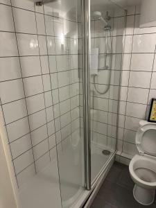 un baño con ducha y WC en Sleek Self-Contained Studio Retreat own entrance, en Dorking