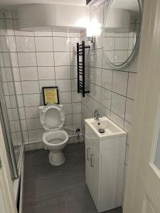 Un baño pequeño con inodoro y lavabo. en Sleek Self-Contained Studio Retreat own entrance, en Dorking