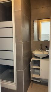 a bathroom with a sink and a mirror at Le Nid Chaleureux Ecoresponsable in Sevran