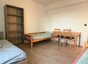 Giường trong phòng chung tại Apartment in center of Poděbrady