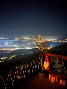 vista su una città di notte con un albero di Villa Gorazda a Kotor (Cattaro)