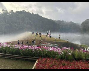 a group of people walking on a beach with flowers at โบว์ โฮมสเตย์ปางอุ๋ง in Ban Huai Makhuea Som