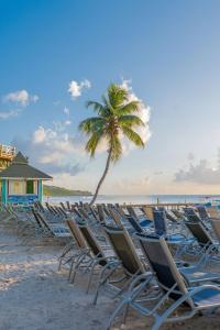 una fila de tumbonas en una playa con una palmera en Bonsai Rentals - West Bay Private Rooms, en West Bay