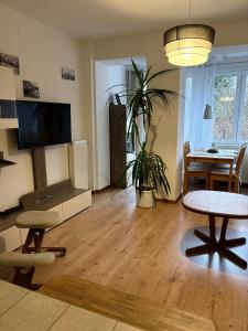 uma sala de estar com uma televisão, uma mesa e cadeiras em Apartament Forest em Mysłakowice