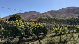 Naturlandskabet i nærheden af hotellet