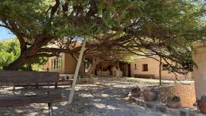a large tree in front of a building with benches at Hostería Viñas de Uquia in Capla