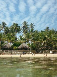 a beach with palm trees and people in the water at Galawatta Beach Resort in Unawatuna +70 photos