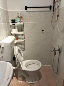 un baño con inodoro y ducha en Room&Rest Homestay Seremban Mutiara Galla, en Seremban