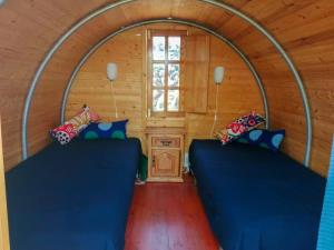 阿里亚The Secret Garden Lanzarote的小木屋里的一间房间里有两张蓝色沙发