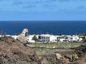 a seal sitting on top of a hill with a city at The Secret Garden Lanzarote in Haría