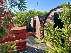 阿里亚The Secret Garden Lanzarote的花园入口处种满了植物的温室 更多8张照片