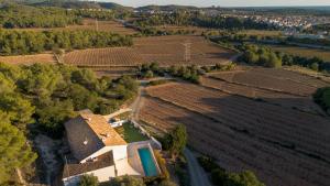 an aerial view of a house in a vineyard at Villa Masia Capdet in Sant Pere de Ribes