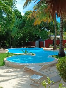 une piscine avec des chaises et des palmiers dans l'établissement Les jardins d'Ambondrona, à Mahajanga