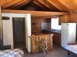una cucina con frigorifero e bancone in una cabina di Solo42 a Villa Lago Meliquina