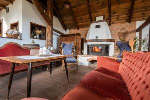 een woonkamer met een bank en een open haard bij Veseud11 in Veseud-Agnita