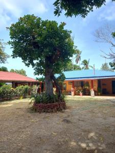 a tree in front of a building at Casa jardín nueva gorgona in Nueva Gorgona