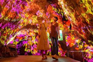 Gæster der bor på Base 高志保