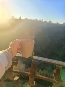 een persoon die een kopje op een tafel vasthoudt bij The secret room in Pitigliano