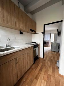 eine Küche mit Spüle und Arbeitsplatte in der Unterkunft Apto estudio moderno cerca a centros comerciales in Yopal