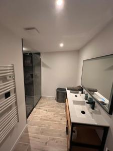 a bathroom with a shower and a sink and a mirror at Loft-chalet 12 pers - Billiards - Cinéma - 10 min ski in La Cabanasse +33 photos