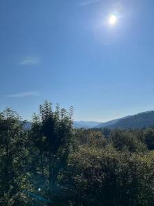 a view of trees with the sun in the sky at Le refuge de la fée in Fellering +2 photos