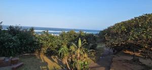 een uitzicht op een strand met bomen en de oceaan bij Albatros 106 in Amanzimtoti