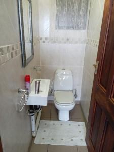 een badkamer met toilet en wastafel bij Albatros 106 in Amanzimtoti