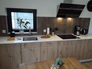 una cucina con un lavello e un piano di lavoro di Velduil 62 a Hulshorst