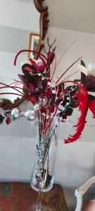 Fotografie z fotogalerie ubytování Casa di Rosa v destinaci Cureggio + 19 fotografií