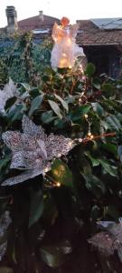 Zahrada ubytování Casa di Rosa