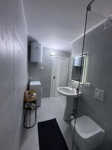 een kleine badkamer met een wastafel en een spiegel bij Apartment Agnes in Vlorë