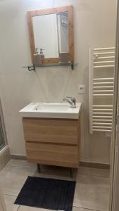 een badkamer met een wastafel en een spiegel bij Dina chic calme cosy in Saint Etienne