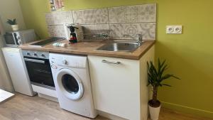 een keuken met een spoelbak en een wasmachine bij Dina chic calme cosy in Saint Etienne