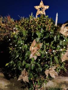 Zahrada ubytování Casa di Rosa