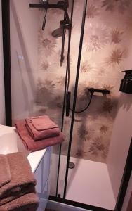 Somnium2 في بلانكنبرخ: حمام مع دش ومناشف بنية اللون