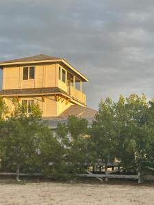 een geel huis met bomen ervoor bij HOLBOX PUERTA DEL MAR in Holbox Island