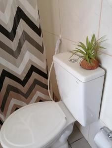 a bathroom with a toilet with a plant on the tank at Recanto Nova Vida in Ibiapina